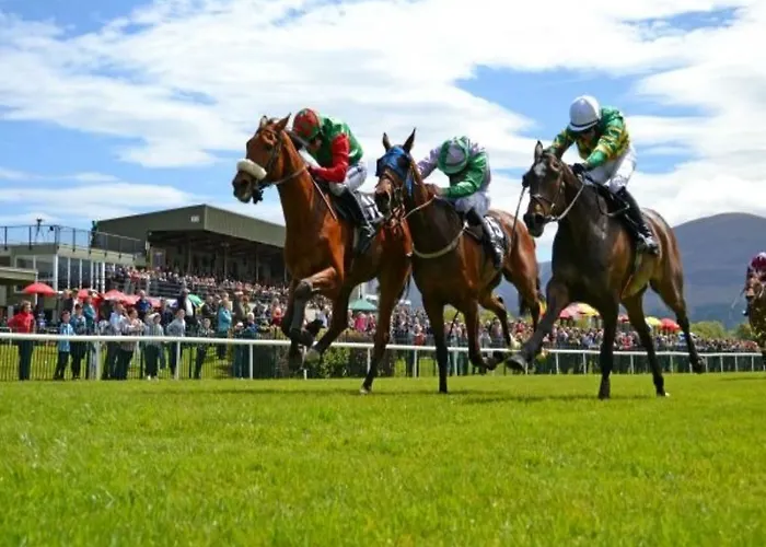 酒店 基拉尼兰德尔斯酒店 4*